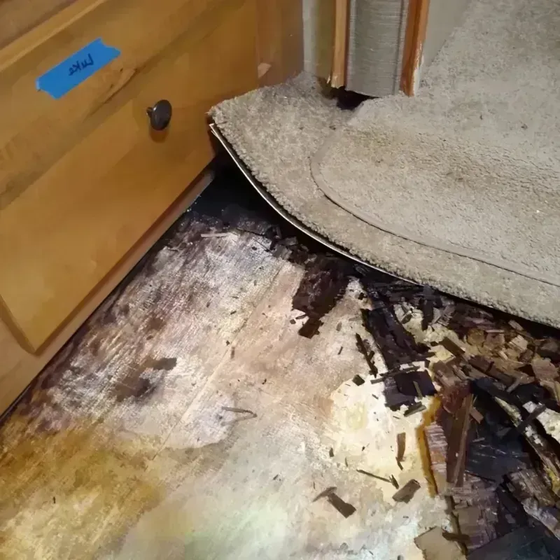 Wood Floor Water Damage in Woodbury, MN